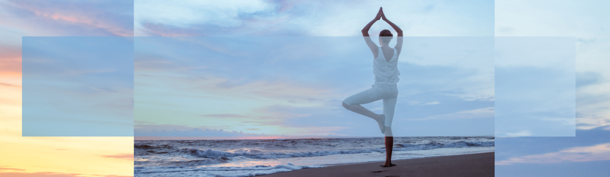 AACE Certificate Fundamentals of Obesity & Weight Loss: Refreshed Edition Image